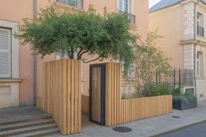 Greffer pour adapter les arbres fruitiers aux petits jardins urbains : combiner formes palissées et porte-greffes nanifiants