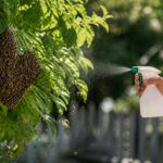 Comment faire fuir les abeilles sans les agresser efficacement