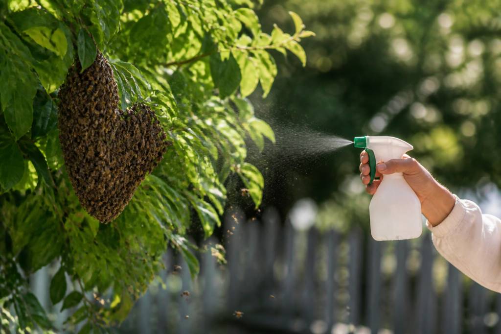 Comment faire fuir les abeilles sans les agresser efficacement