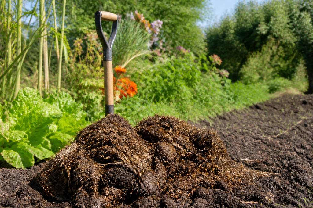 Comment utiliser le fumier de cheval au jardin pour enrichir le sol