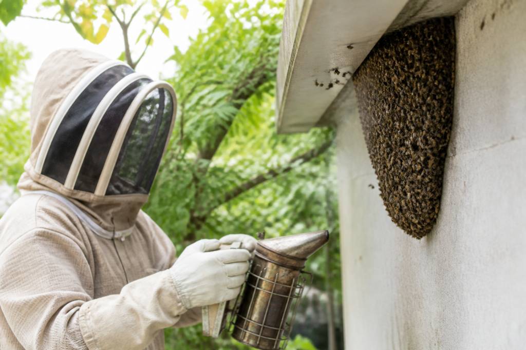 Comment repousser les abeilles sans les tuer