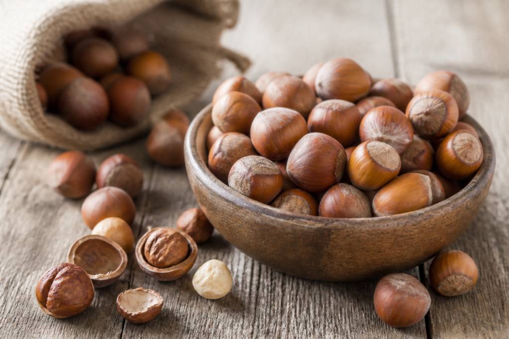 Conserver des noisettes : méthodes efficaces pour les garder longtemps