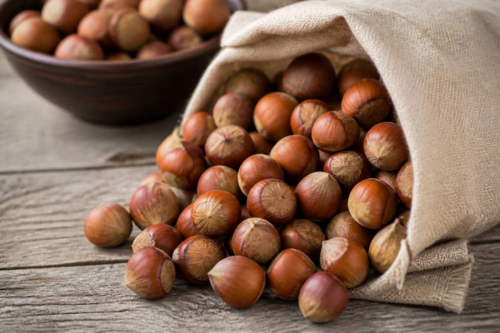 Conservation noisette : techniques pour préserver leur fraîcheur