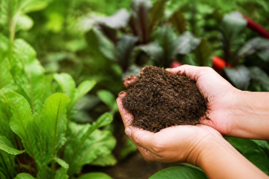 Terraplus natura balance : pourquoi choisir cet amendement pour le jardin