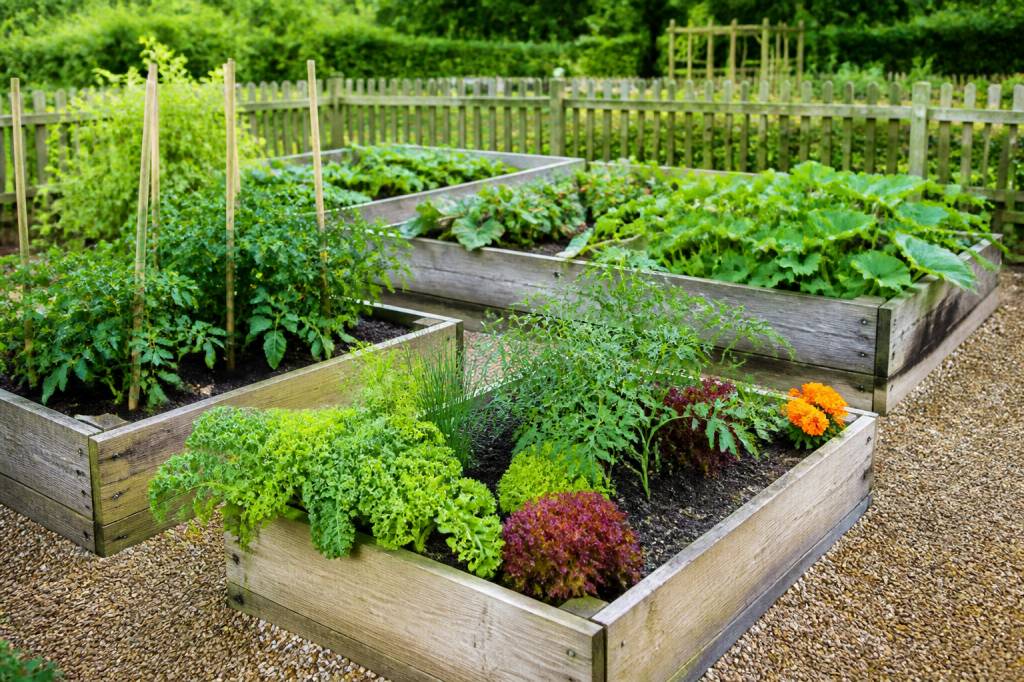 Au carre potager : conseils pour aménager un potager productif