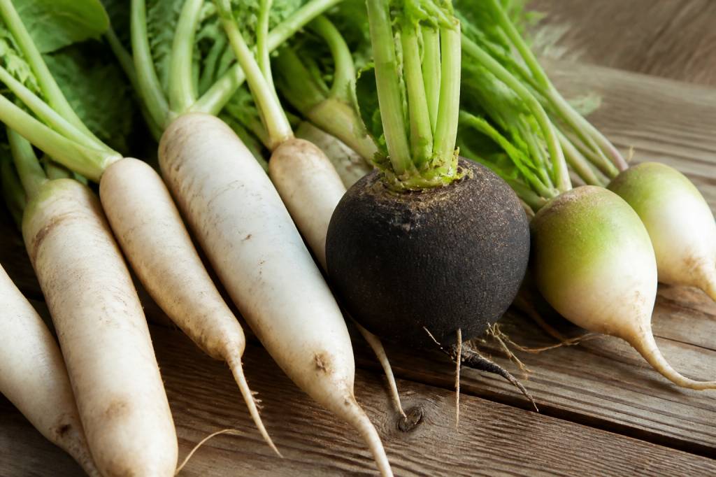 Légumes commençant par d : découvrez les variétés à cultiver au jardin
