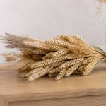 Brin de ble : conseils pour le choisir, le conserver et le décorer