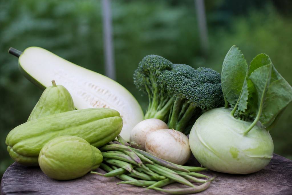 Légumes en x : les variétés à découvrir et à cultiver au jardin