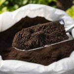 5 de terreau en kg : quel poids prévoir pour vos plantations ?