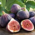Tout savoir sur les figues bourjassotte : culture, récolte et conseils d’entretien