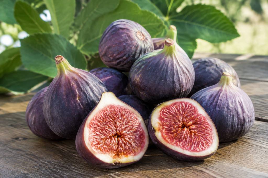 Tout savoir sur les figues bourjassotte : culture, récolte et conseils d’entretien